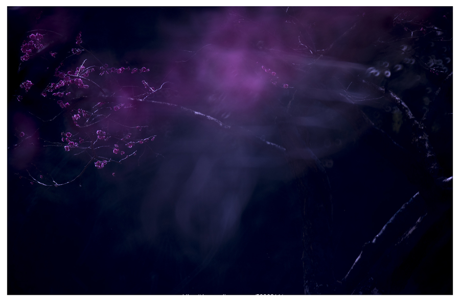 开云电竞app下载安装