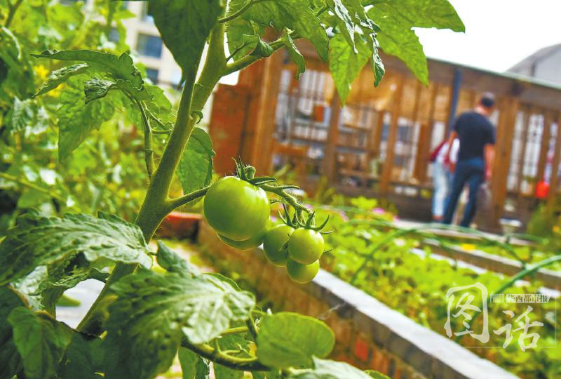 开云电竞app下载安装