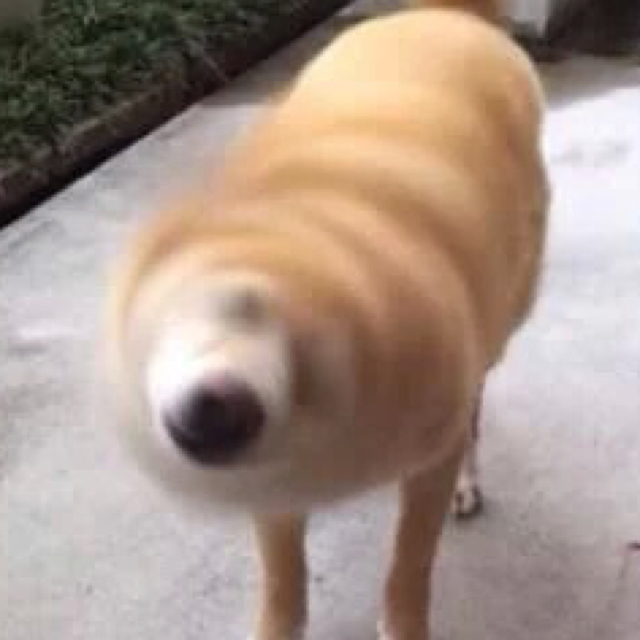 开云电竞app下载安装