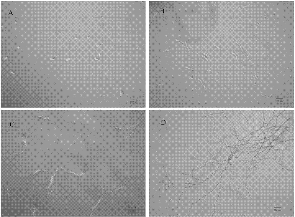 开云电竞app下载安装
