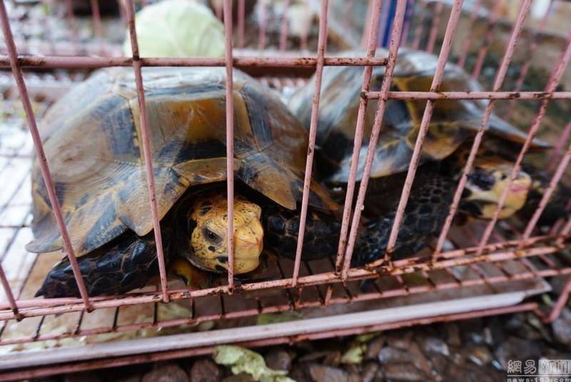 开云电竞app下载安装_山月不知心底事小说结局 向远叶昀叶骞泽结局虐哭观众(图3) 开云电竞app下载安装