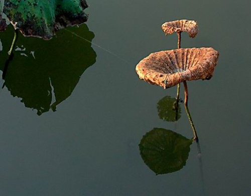 开云电竞app下载安装