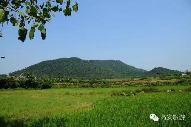 开云电竞app下载安装